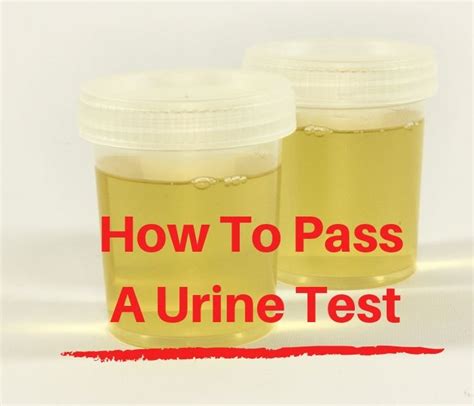 can eye drops help pass a urine test|How to Pass a Urine Drug Test (August 2024 Guide).